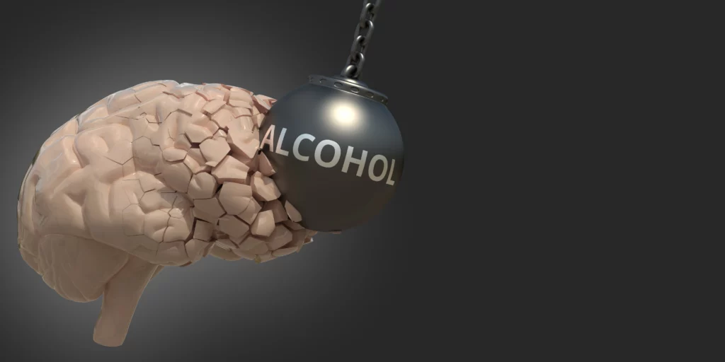 Alcohol And The Brain