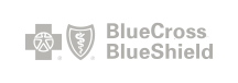 ins logo bluecross