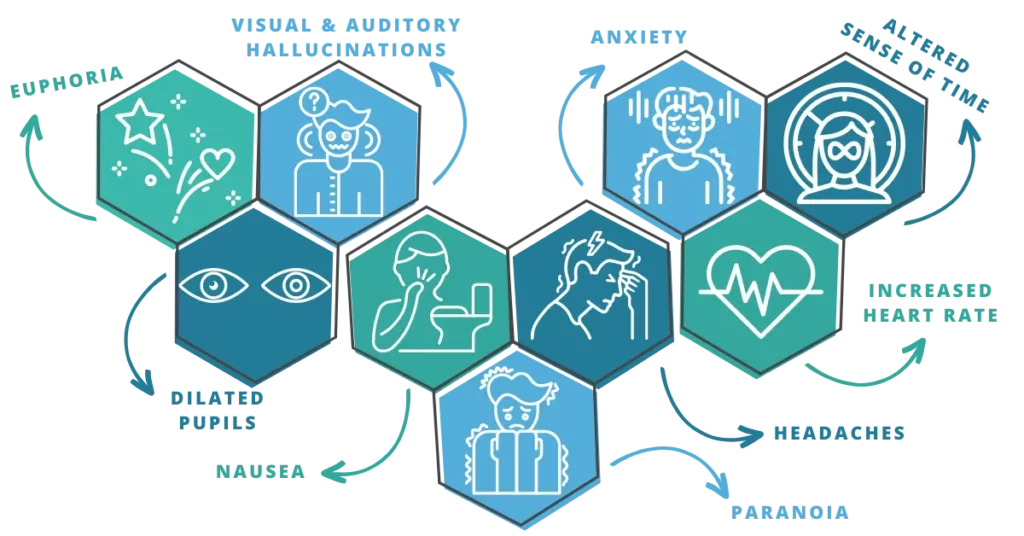 what to expect when taking shrooms graphic