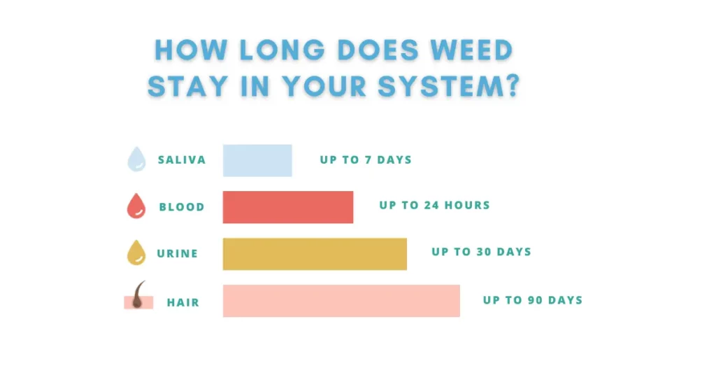 how long does weed stay in your system? 