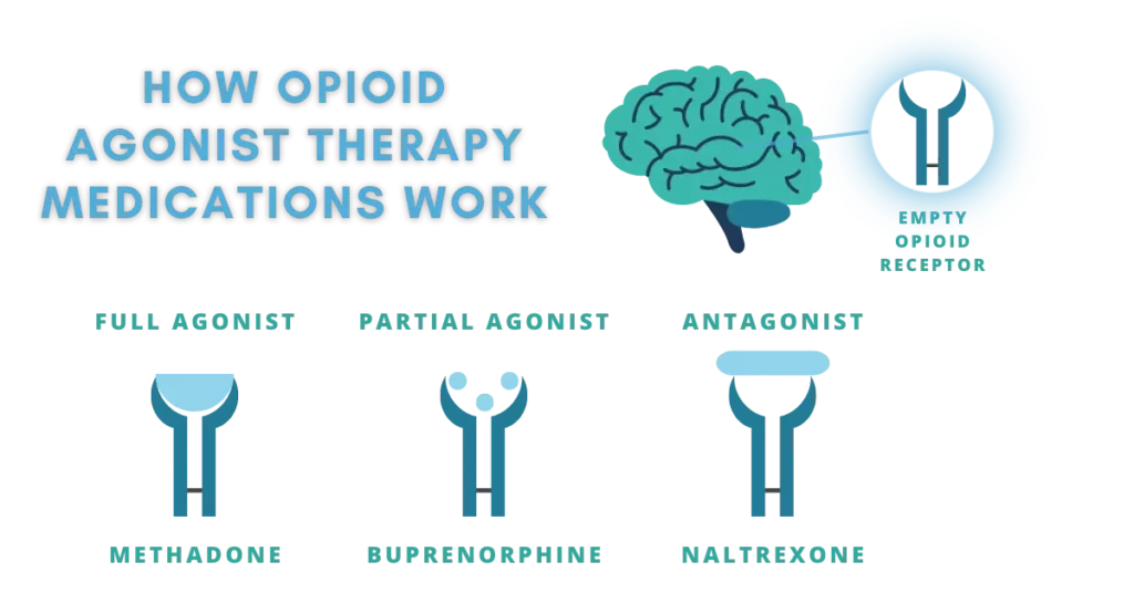 how opioid agonist therapy medications work