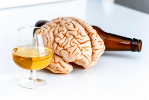 alcohol next to brain model