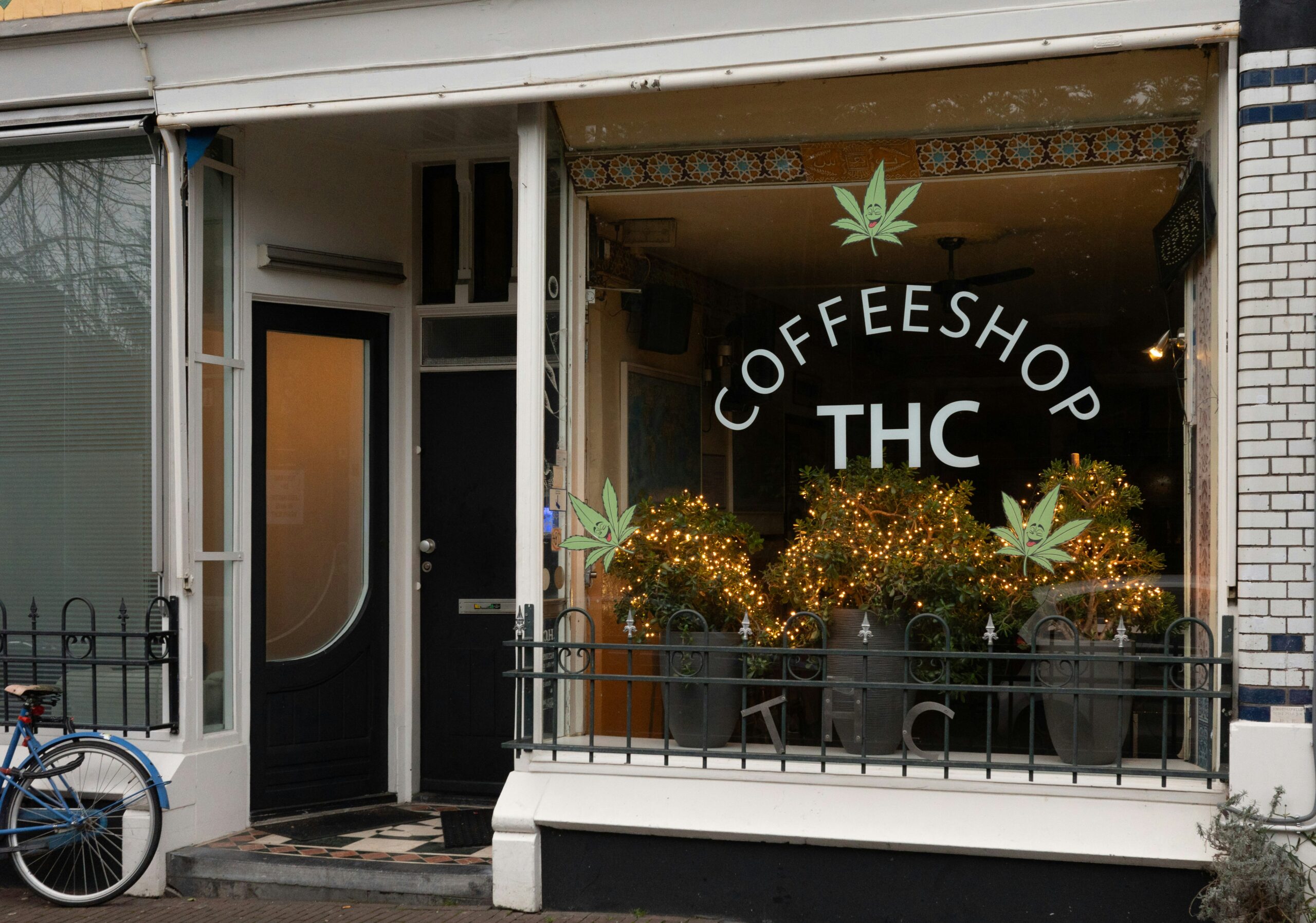 Consider a THC detox to move forward with a healthier new you