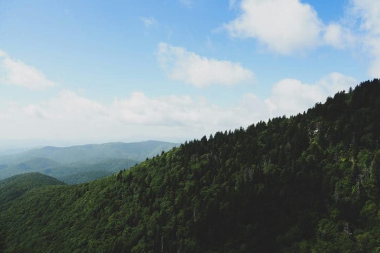 Alcohol detoxing recovery in Asheville, NC