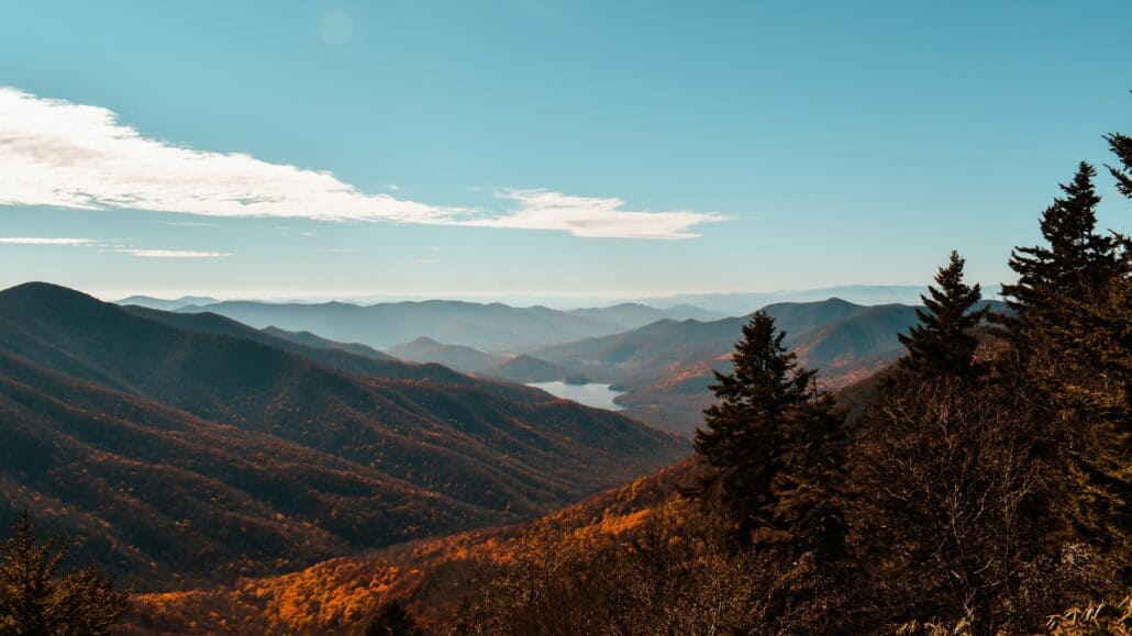 Alcohol detoxing services in Asheville, NC