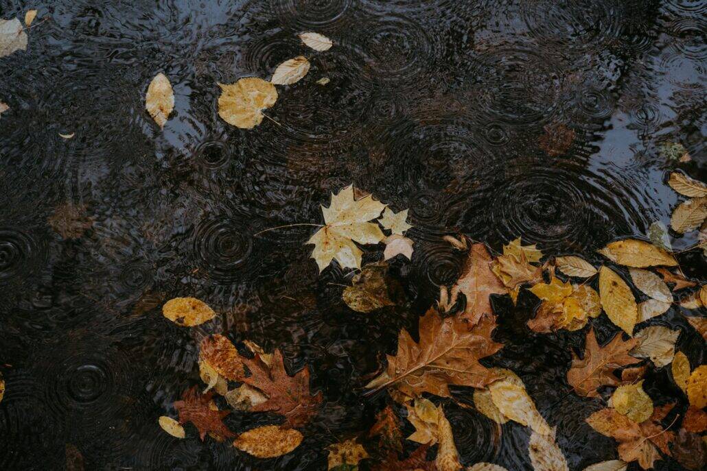 What is white knuckling and how can detox help