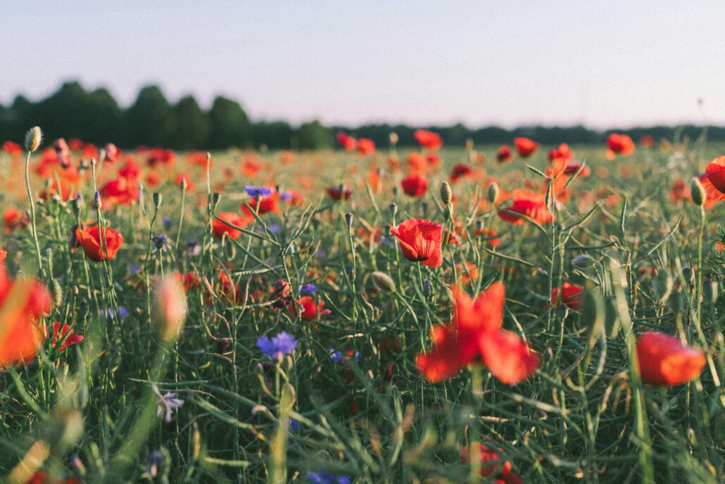 How to cultivate emotional sobriety