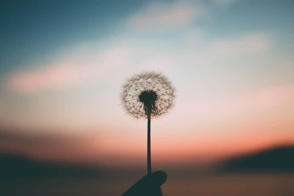 Self-advocacy during detox