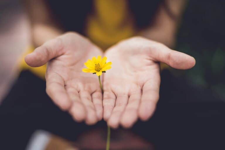 Self-advocacy in addiction recovery